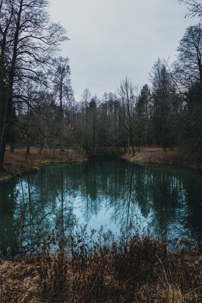 Photograph by Ксения Малявина
