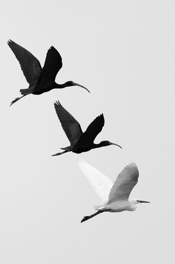 Photograph by Сергей Тихомиров