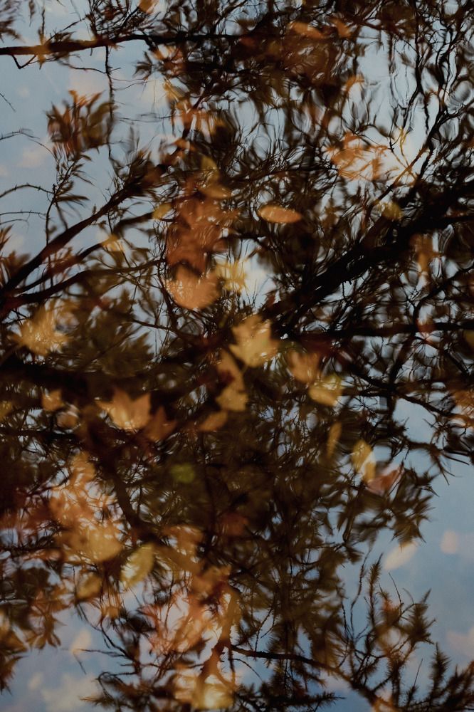 Photograph by Ксения Малявина