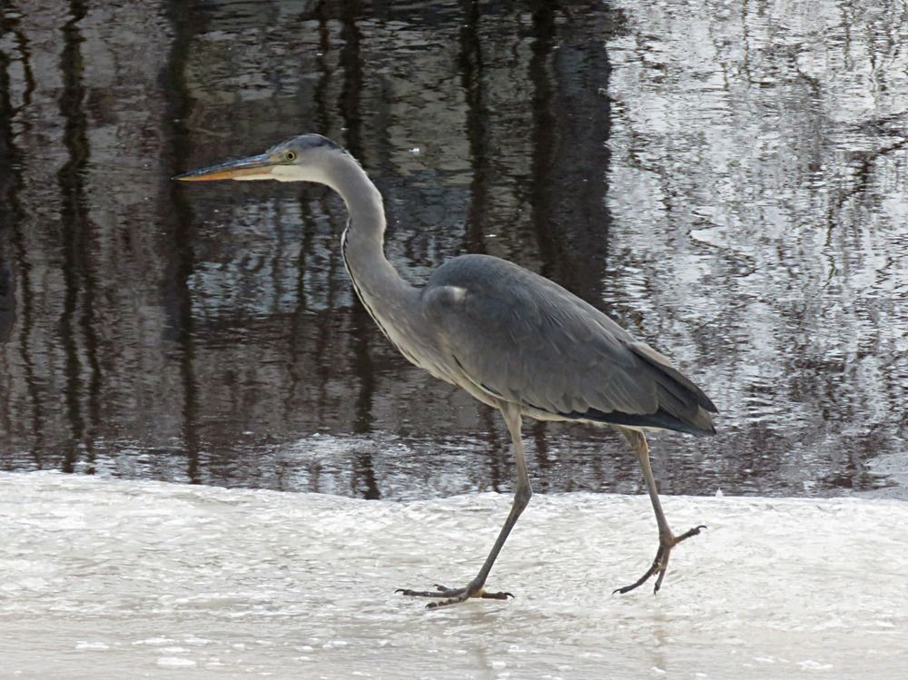 Photograph by Галина Пименова
