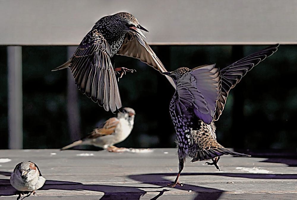 Photograph by Татьяна Слесарева