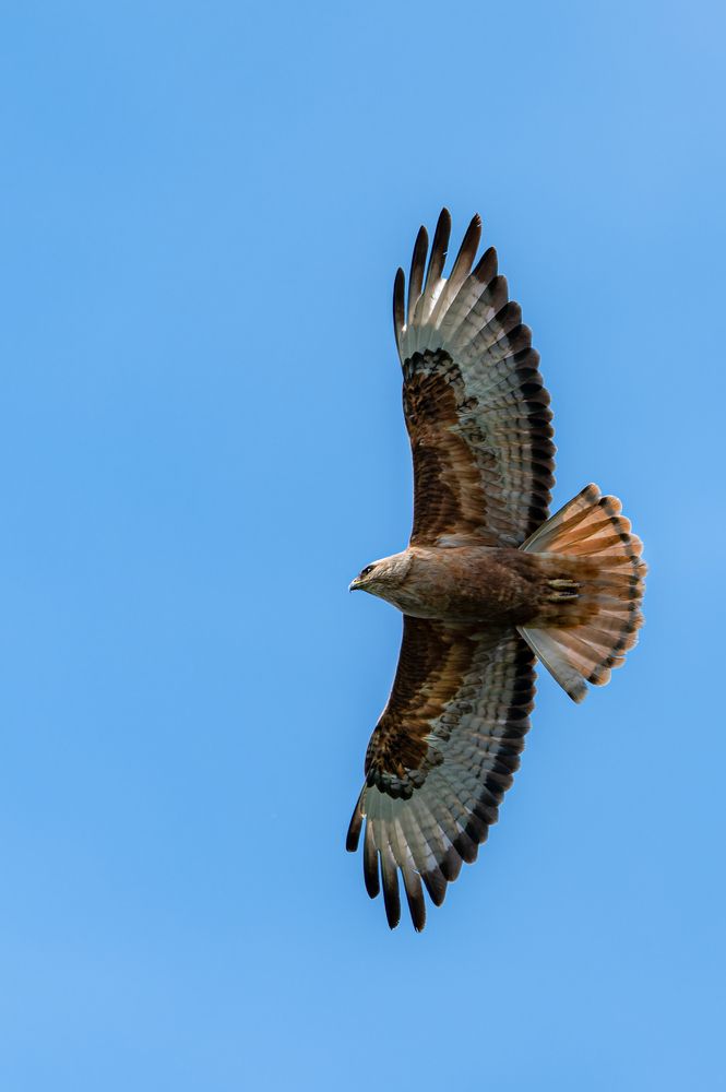 Photograph by Сергей Тихомиров