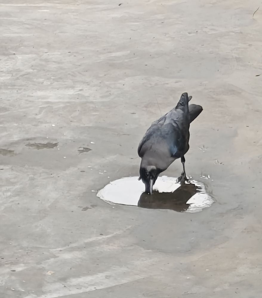 Фотография автора Santanu Dasgupta