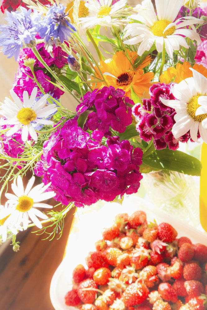 Фотография автора Каргин Валерий