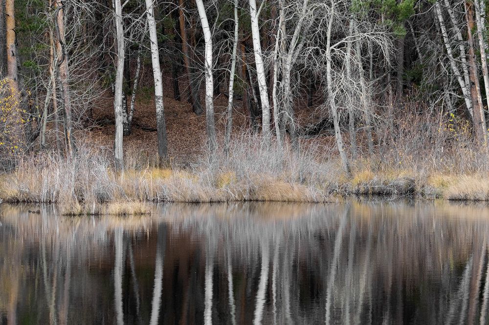 Photograph by Олег Беспалов