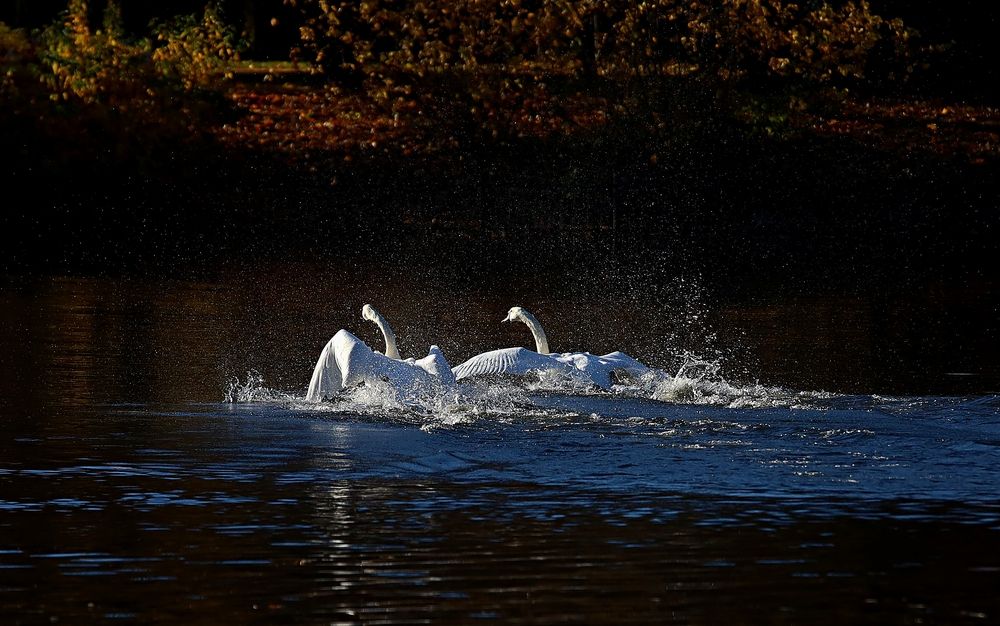 Photograph by Татьяна Слесарева