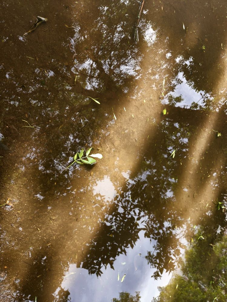 Photograph by Elena Shliachkova