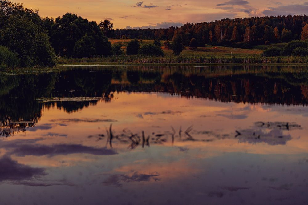 Photograph by Zhen Tsarev