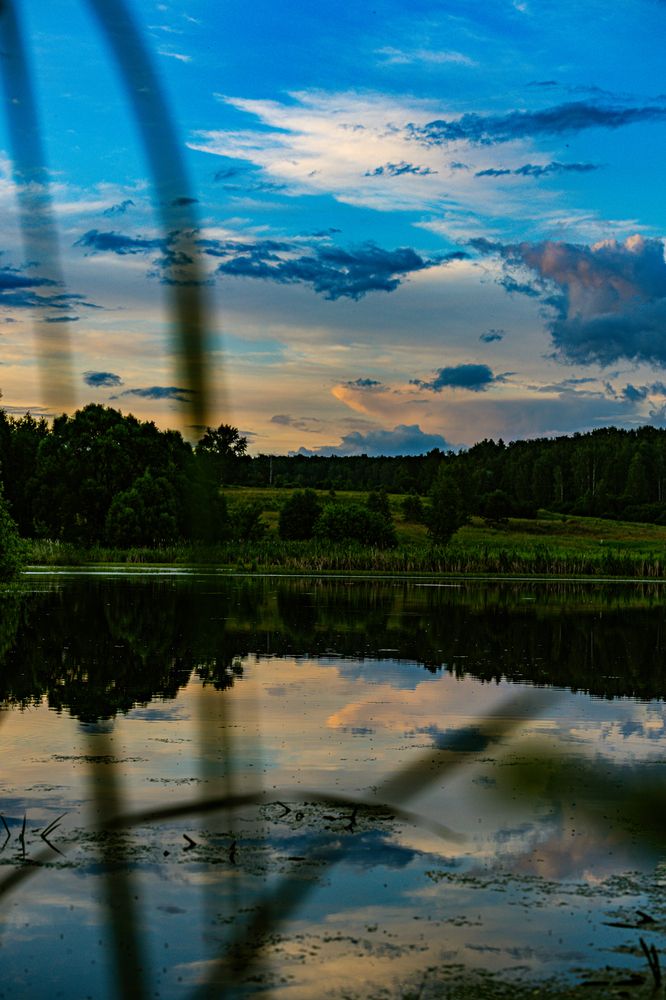 Photograph by Zhen Tsarev