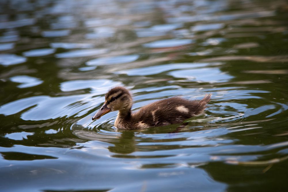 Photograph by Алексей Кацан
