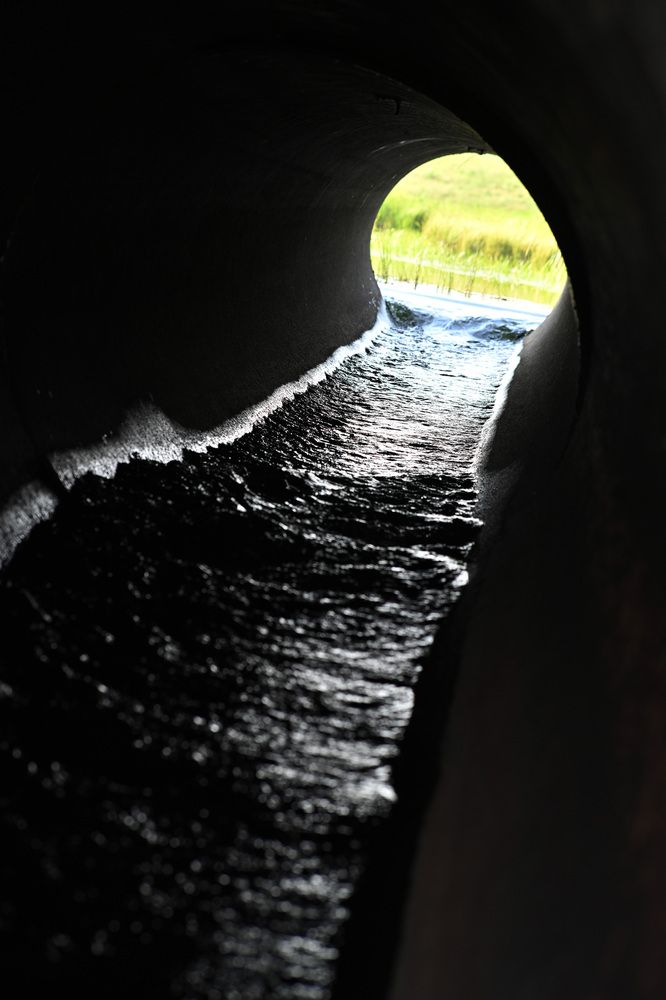 Photograph by Анна Семейникова