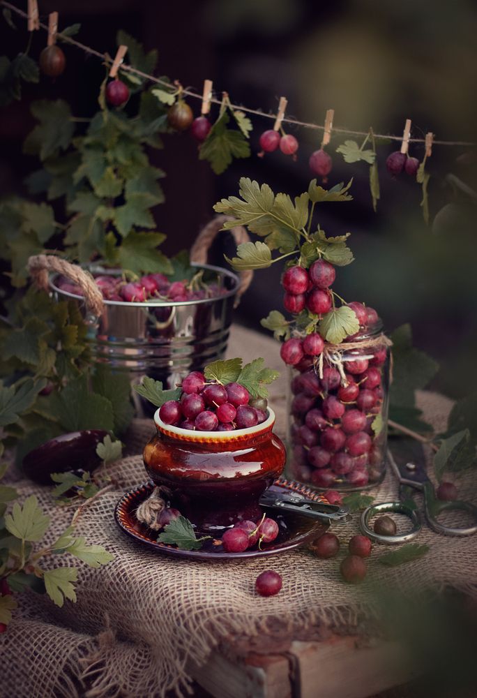 Photograph by Елена Мелихова