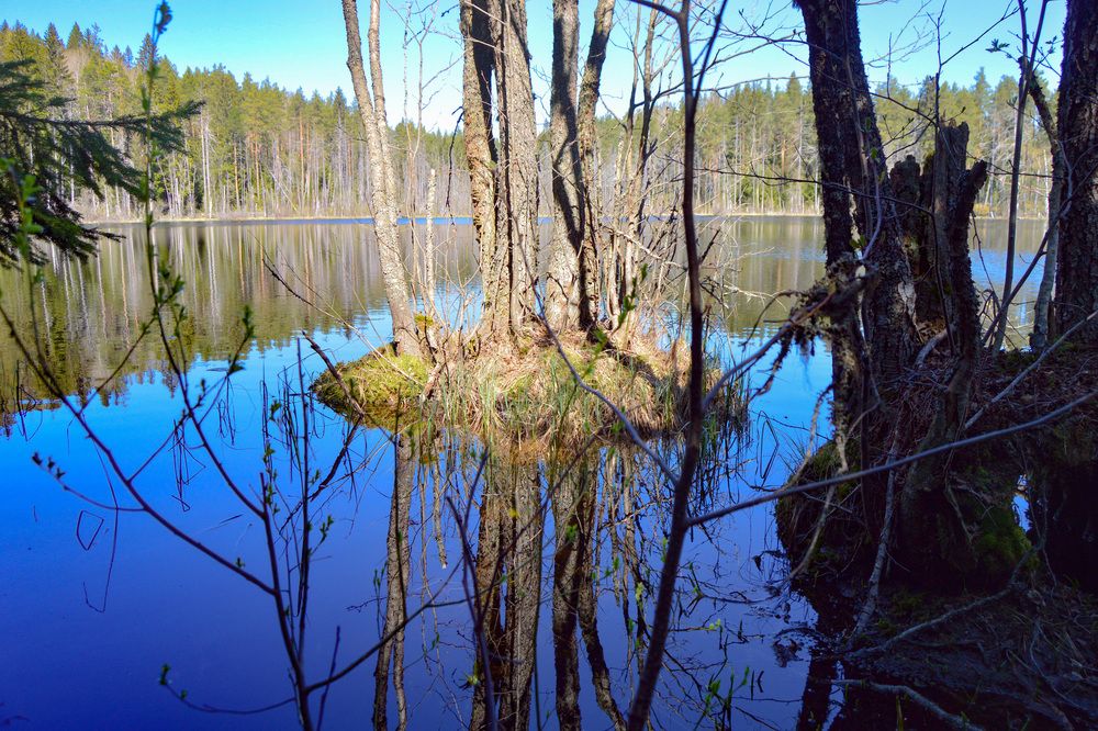 Photograph by Екатерина Казарцева