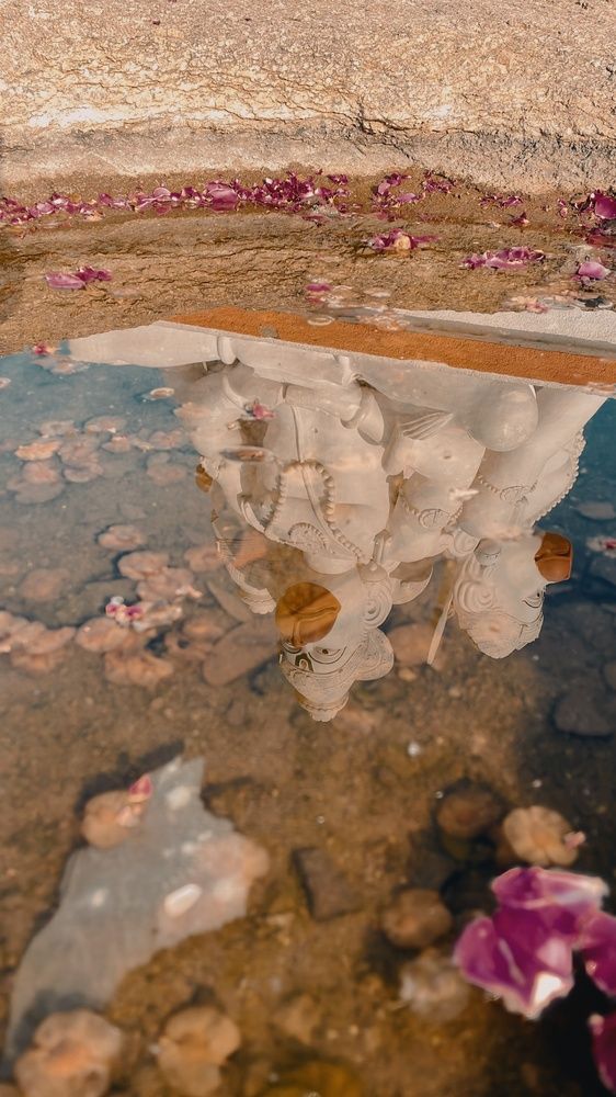 Photograph by Venu Peyyala