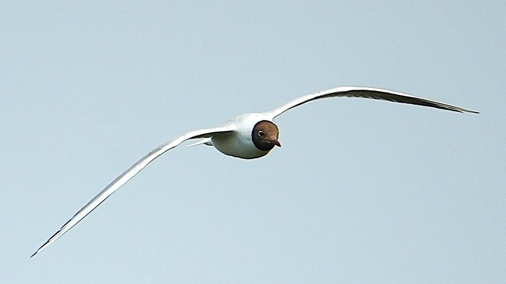 Photograph by Михаил Трусов