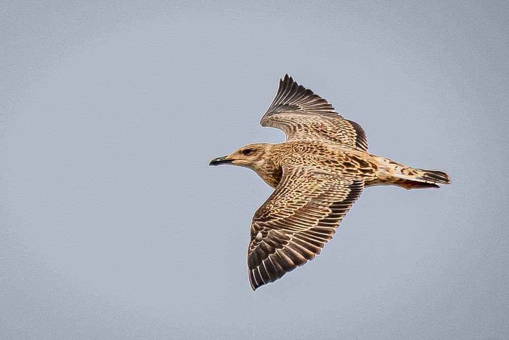 Photograph by Bachir Rabouh