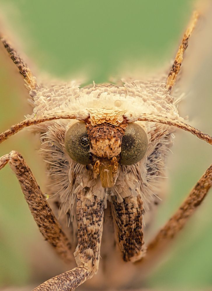 Фотография автора Sergio Gomez Dominguez