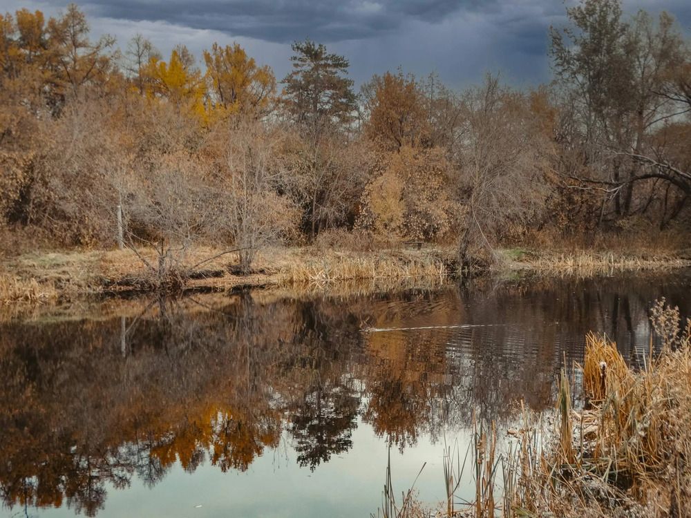 Photograph by Анжелика Трошина