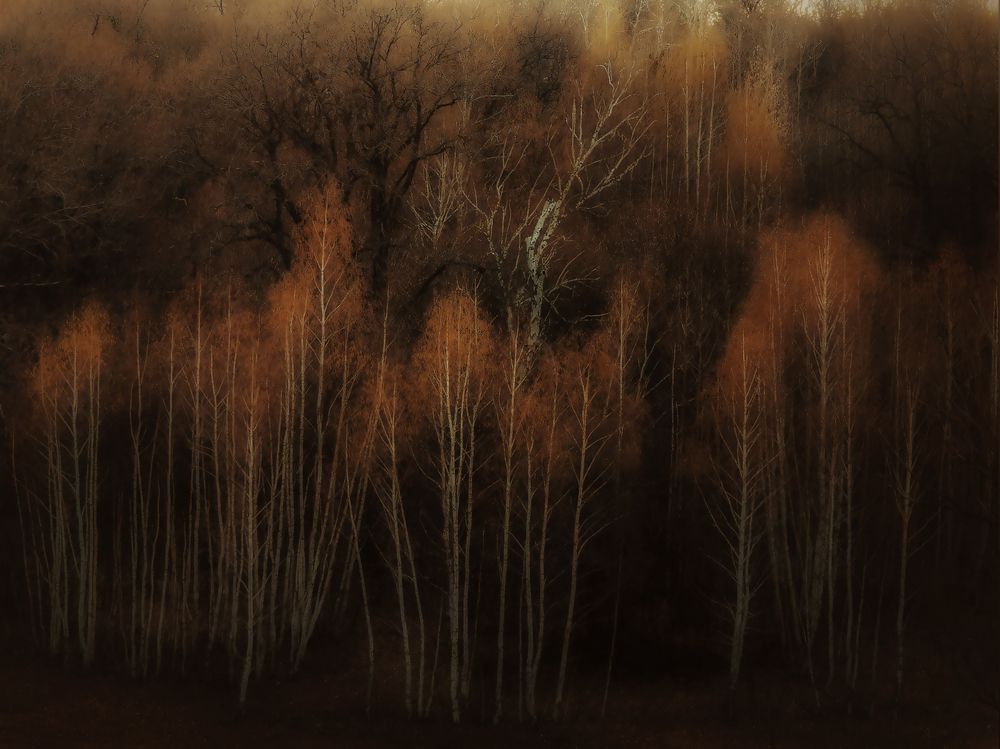 Photograph by Yuliya Karpova