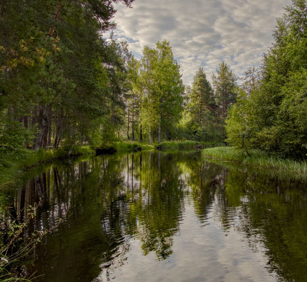 Photograph by Игорь Шишпанов