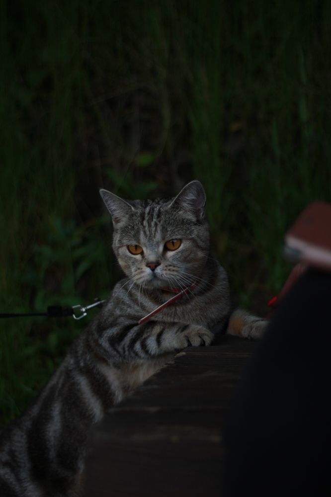 Photograph by Сергей Помелов