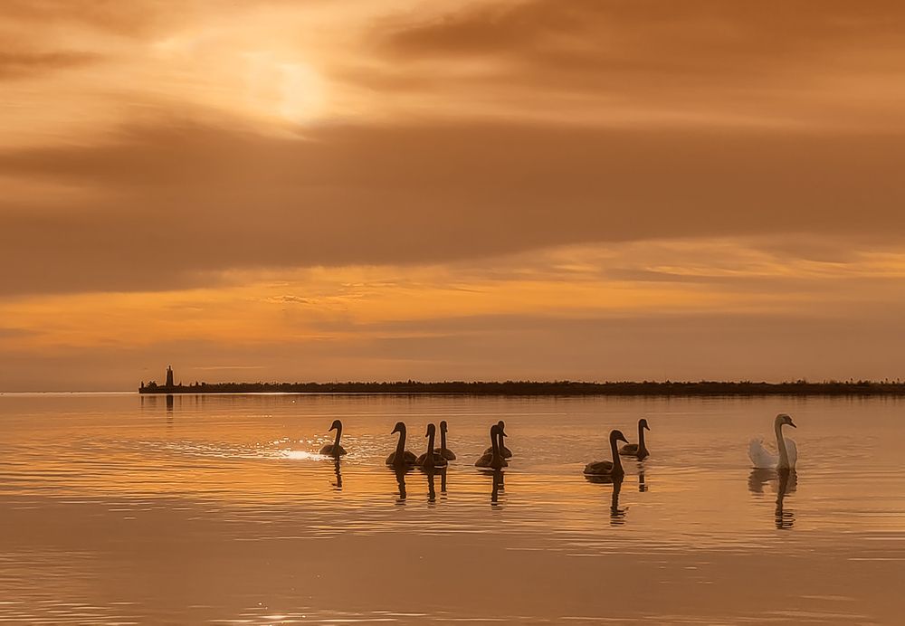 Photograph by Natalia Bolotenkova