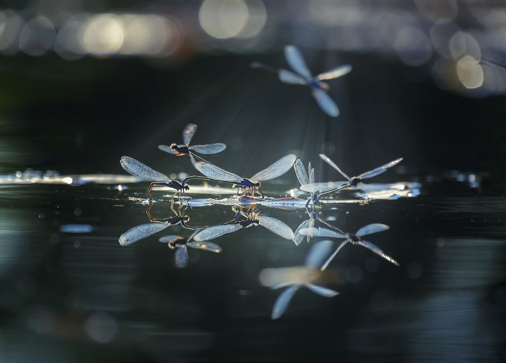 Photograph by Natalia Bolotenkova