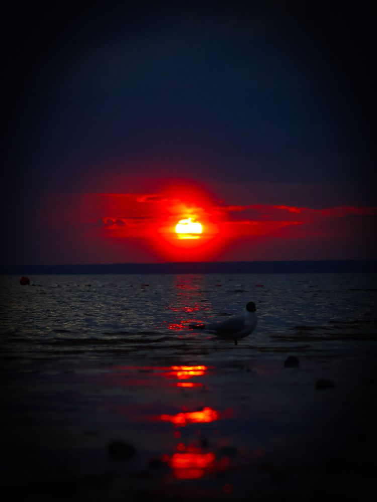 Photograph by Дмитрий Коновалов