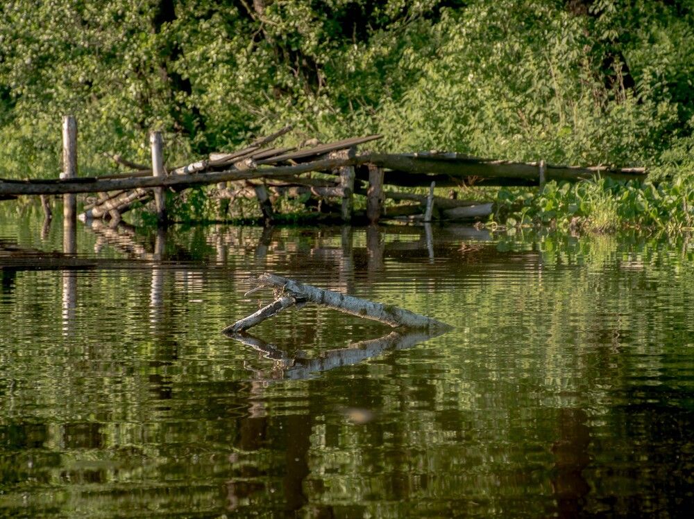 Photograph by Елена Царёва
