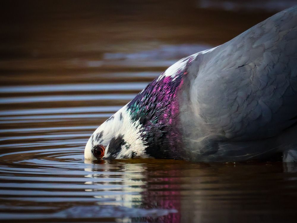 Photograph by Дмитрий Коновалов