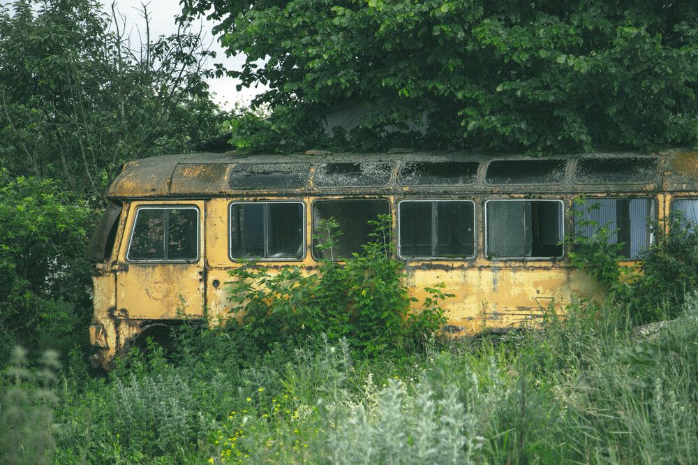 Photograph by Ксения Щукина
