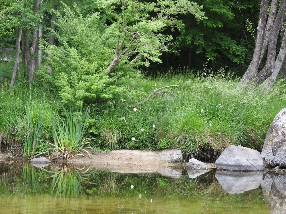 Photograph by Cristina Bosio Ferrer