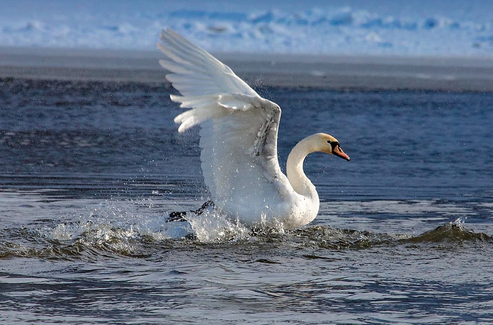 Photograph by Александр Есликов