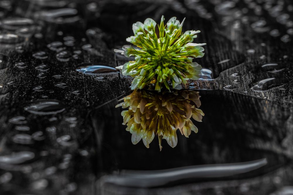 Photograph by Egor Ugrof