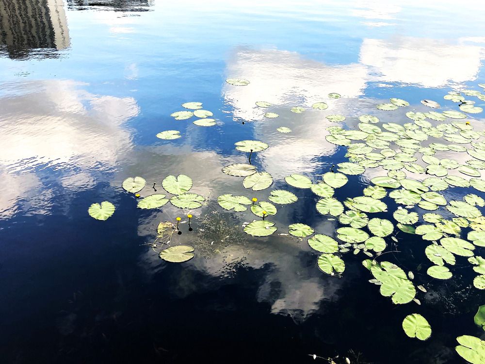 Фотография автора Сергей Демидов