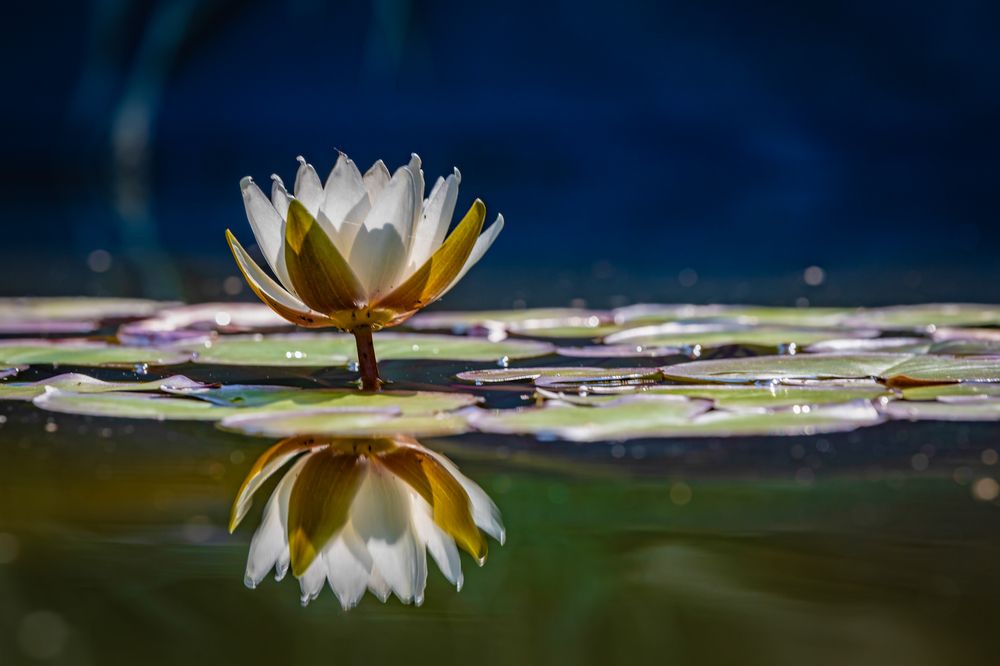 Photograph by Egor Ugrof