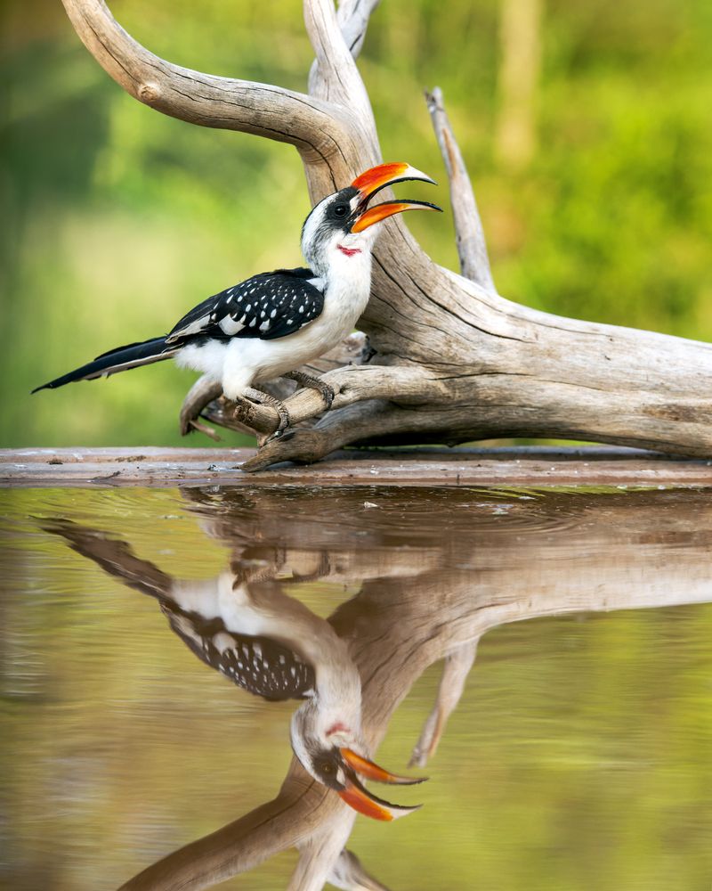 Photograph by Ruzhdi Ibrahimi