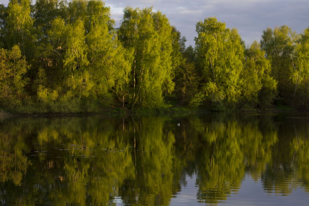 Photograph by Ольга Самылкина