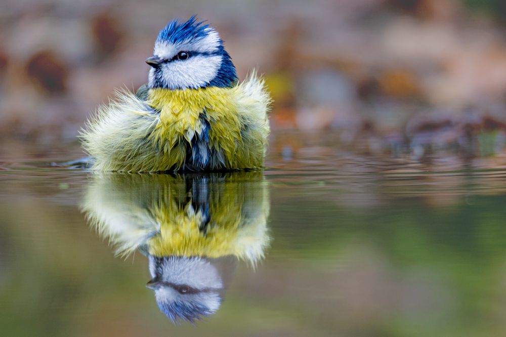 Photograph by Ellen Lichtenheldt