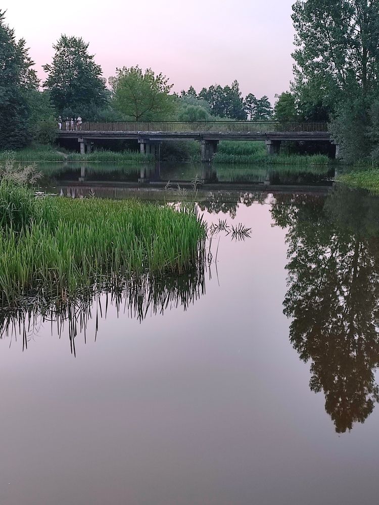 Photograph by Ирина К.