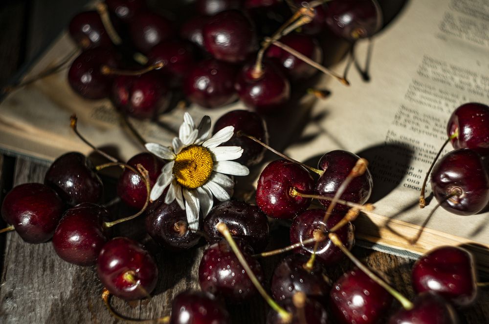 Photograph by Светлана Волкова