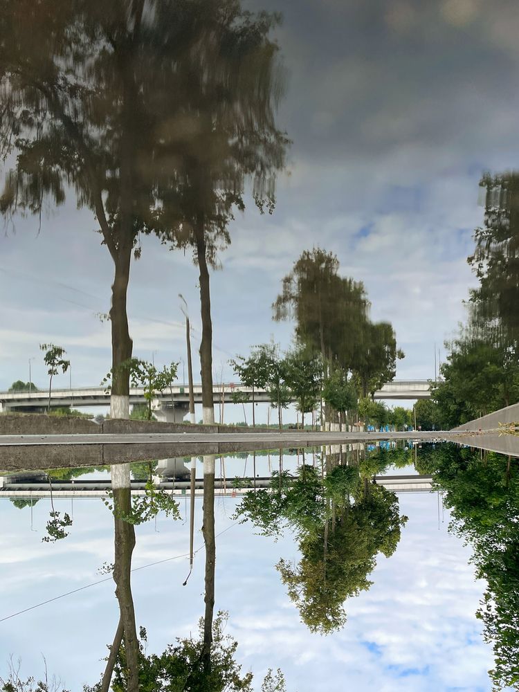 Photograph by Svetlana Savina