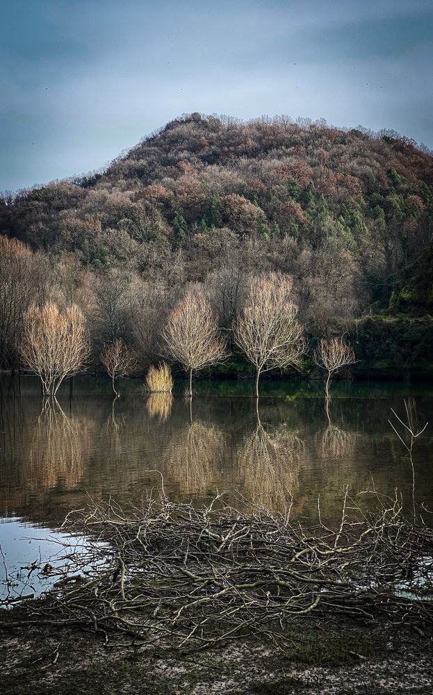 Photograph by Sadrija Ljaić