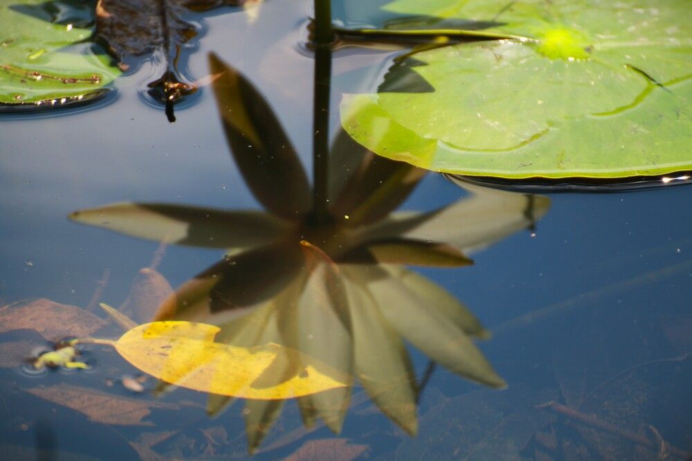 Photograph by Gr Marie