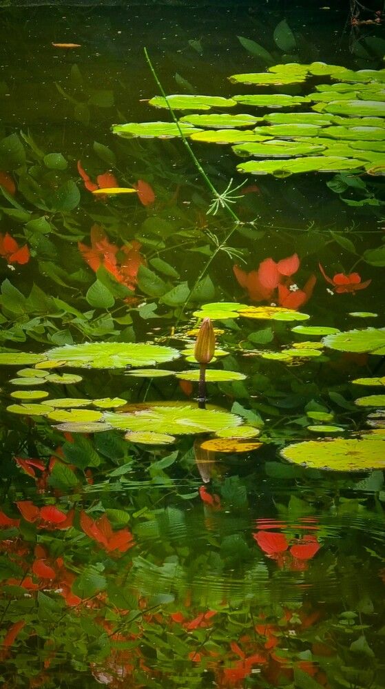 Photograph by Gr Marie