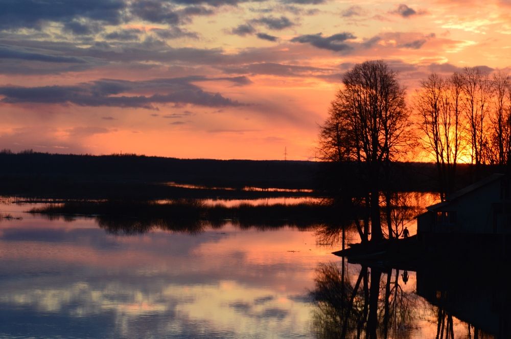 Фотография автора Елена Максимова