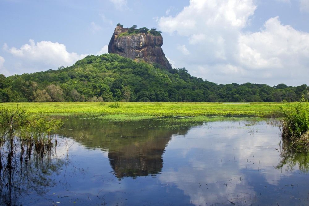 Львиная гора.