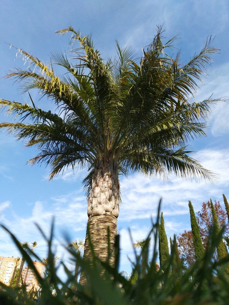 Photograph by Анатолий Дячина