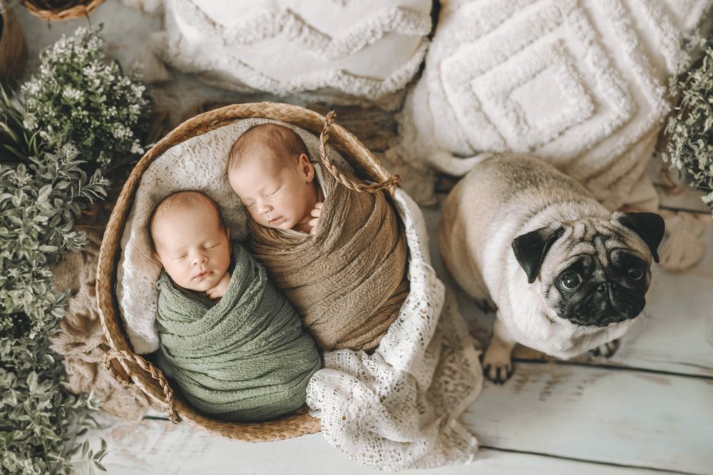 Photograph by Кристина Левит