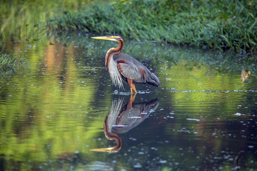 Photograph by Игорь Селин